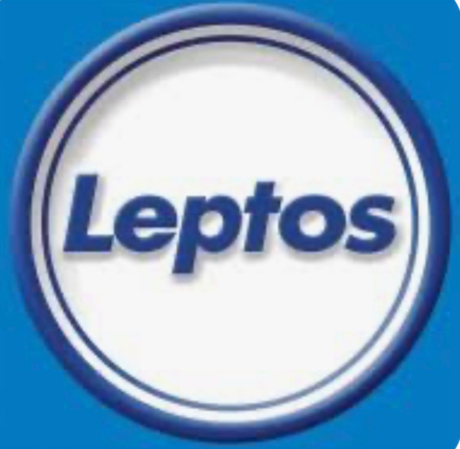 Logo 4