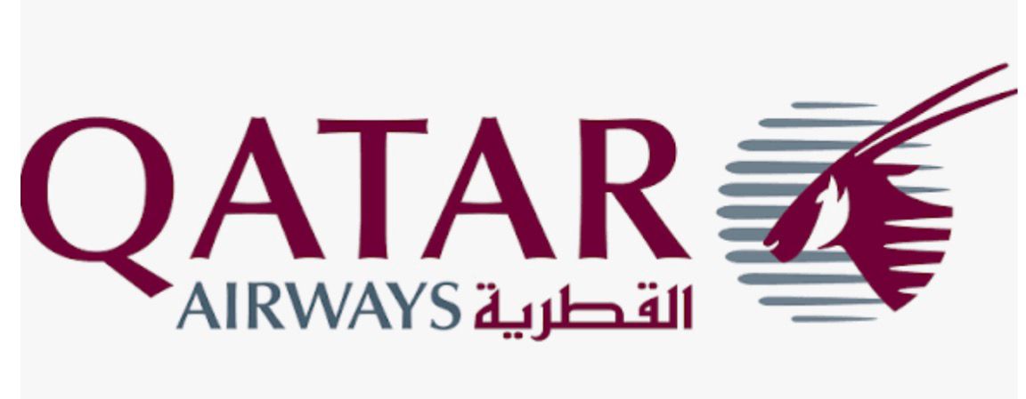 Organisation logo