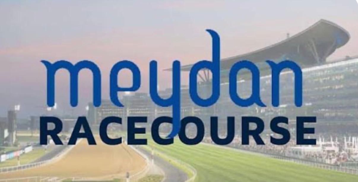 Organisation logo